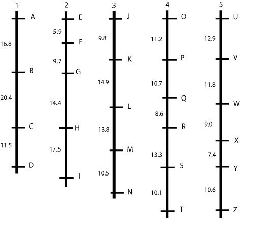 adapted figure 11.jpg